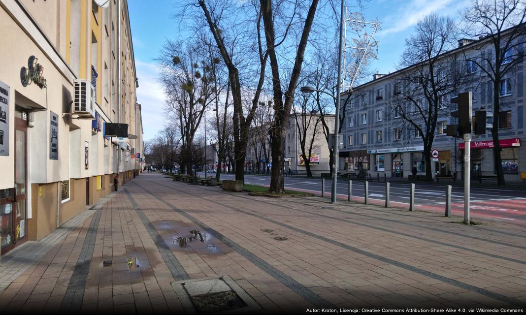 Rodziny zastępcze – Powiatowe Centrum Pomocy Rodzinie w Mielcu poszukuje kandydatów